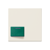 cover plate for Ackermann - JUNG (pavadinimas tikslinamas)