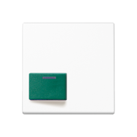 cover plate for Ackermann - JUNG (pavadinimas tikslinamas)