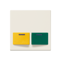 cover plate for Ackermann - JUNG (pavadinimas tikslinamas)
