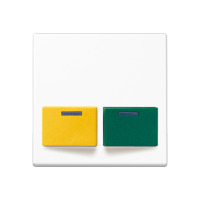 cover plate for Ackermann - JUNG (pavadinimas tikslinamas)