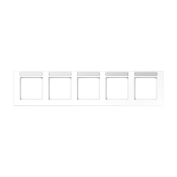 5-gang frame - JUNG (pavadinimas tikslinamas)