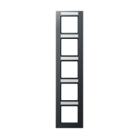 5-gang frame - JUNG (pavadinimas tikslinamas)