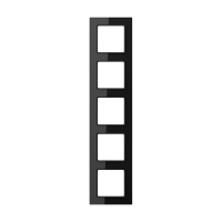 5-gang frame - JUNG (pavadinimas tikslinamas)