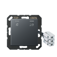 Hotel centre plate 230 V, corridor unit - JUNG (pavadinimas tikslinamas)