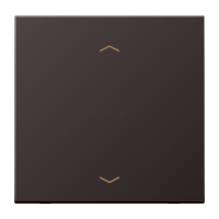 Rocker for push-button 1-gang, arrows - JUNG (pavadinimas tikslinamas)