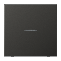 KNX RF centre plate 1-gang - JUNG (pavadinimas tikslinamas)