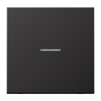 KNX RF centre plate 1-gang - JUNG (pavadinimas tikslinamas)