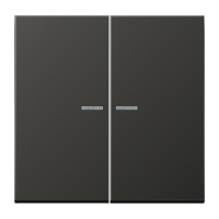 KNX RF centre plate 2-gang - JUNG (pavadinimas tikslinamas)