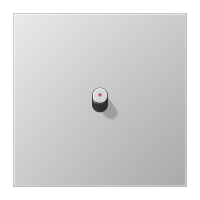 Centre plate 1-gang w. 1 toggle for IL - JUNG (pavadinimas tikslinamas)