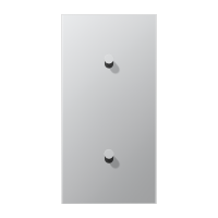 Centre plate 2-gang verti. 1+1 toggle - JUNG (pavadinimas tikslinamas)