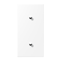 Centre plate 2-gang verti. 1+1 toggle - JUNG (pavadinimas tikslinamas)