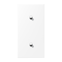 Centre plate 2-gang verti. 1+1 toggle - JUNG (pavadinimas tikslinamas)