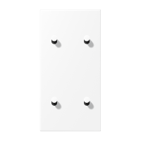 Centre plate 2-gang verti. 2+2 toggle - JUNG (pavadinimas tikslinamas)