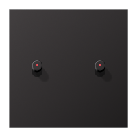 Centre plate 1-gang w. 2 toggle for IL - JUNG (pavadinimas tikslinamas)