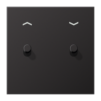 Centre plate 1-gang "arrows" 2 toggle - JUNG (pavadinimas tikslinamas)