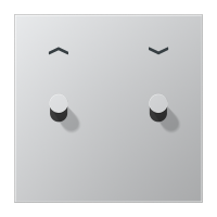 Centre plate 1-gang "arrows" 2 toggle - JUNG (pavadinimas tikslinamas)