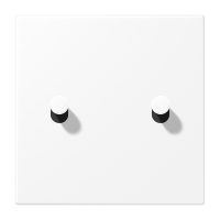 Centre plate 1-gang 2 toggle - JUNG (pavadinimas tikslinamas)