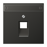 centre pl.f.1-gang mod. jack sockets - JUNG (pavadinimas tikslinamas)