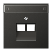 centre pl. f. 2-gang mod. jack sockets - JUNG (pavadinimas tikslinamas)
