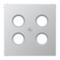 centre plate - JUNG (pavadinimas tikslinamas)