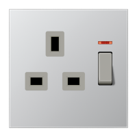 switched socket - JUNG (pavadinimas tikslinamas)