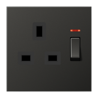 switched socket - JUNG (pavadinimas tikslinamas)
