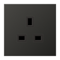 BS socket - JUNG (pavadinimas tikslinamas)
