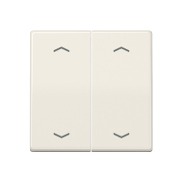 Rocker for push-button 1-gang, arrows - JUNG (pavadinimas tikslinamas)