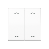 Rocker for push-button 1-gang, arrows - JUNG (pavadinimas tikslinamas)