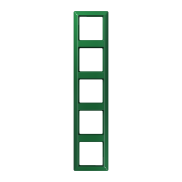 5-gang frame - JUNG (pavadinimas tikslinamas)