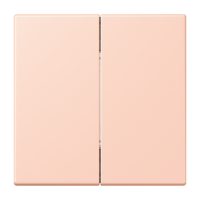 Bluetooth Low Energy radio transmitter L - JUNG (pavadinimas tikslinamas)