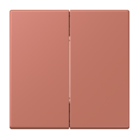 Bluetooth Low Energy radio transmitter L - JUNG (pavadinimas tikslinamas)