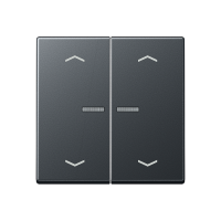 JUNG HOME push-button 2-gang with arrow - JUNG (pavadinimas tikslinamas)