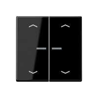 JUNG HOME push-button 2-gang with arrow - JUNG (pavadinimas tikslinamas)
