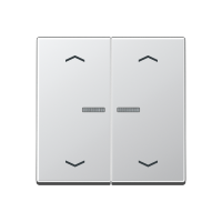 JUNG HOME push-button 2-gang with arrow - JUNG (pavadinimas tikslinamas)