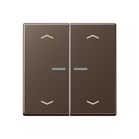 JUNG HOME push-button 2-gang with arrow - JUNG (pavadinimas tikslinamas)