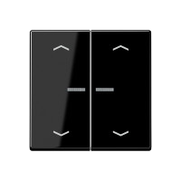 JUNG HOME push-button 2-gang with arrow - JUNG (pavadinimas tikslinamas)