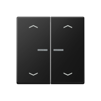 JUNG HOME push-button 2-gang with arrow - JUNG (pavadinimas tikslinamas)