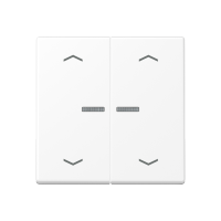 JUNG HOME push-button 2-gang with arrow - JUNG (pavadinimas tikslinamas)