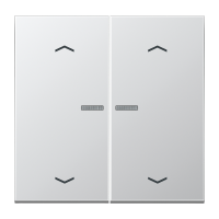 JUNG HOME push-button 2-gang with arrow - JUNG (pavadinimas tikslinamas)