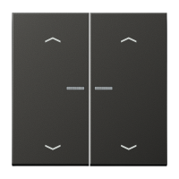 JUNG HOME push-button 2-gang with arrow - JUNG (pavadinimas tikslinamas)