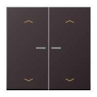 JUNG HOME push-button 2-gang with arrow - JUNG (pavadinimas tikslinamas)
