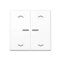 JUNG HOME push-button 2-gang with arrow - JUNG (pavadinimas tikslinamas)