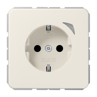 JUNG HOME SCHUKO socket Energy - JUNG (pavadinimas tikslinamas)