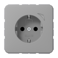 JUNG HOME SCHUKO socket - JUNG (pavadinimas tikslinamas)