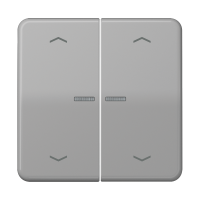 JUNG HOME push-button 2-gang with arrow - JUNG (pavadinimas tikslinamas)