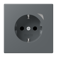 JUNG HOME SCHUKO socket - JUNG (pavadinimas tikslinamas)