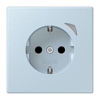 JUNG HOME SCHUKO socket - JUNG (pavadinimas tikslinamas)