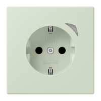 JUNG HOME SCHUKO socket - JUNG (pavadinimas tikslinamas)