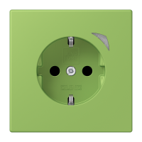 JUNG HOME SCHUKO socket - JUNG (pavadinimas tikslinamas)